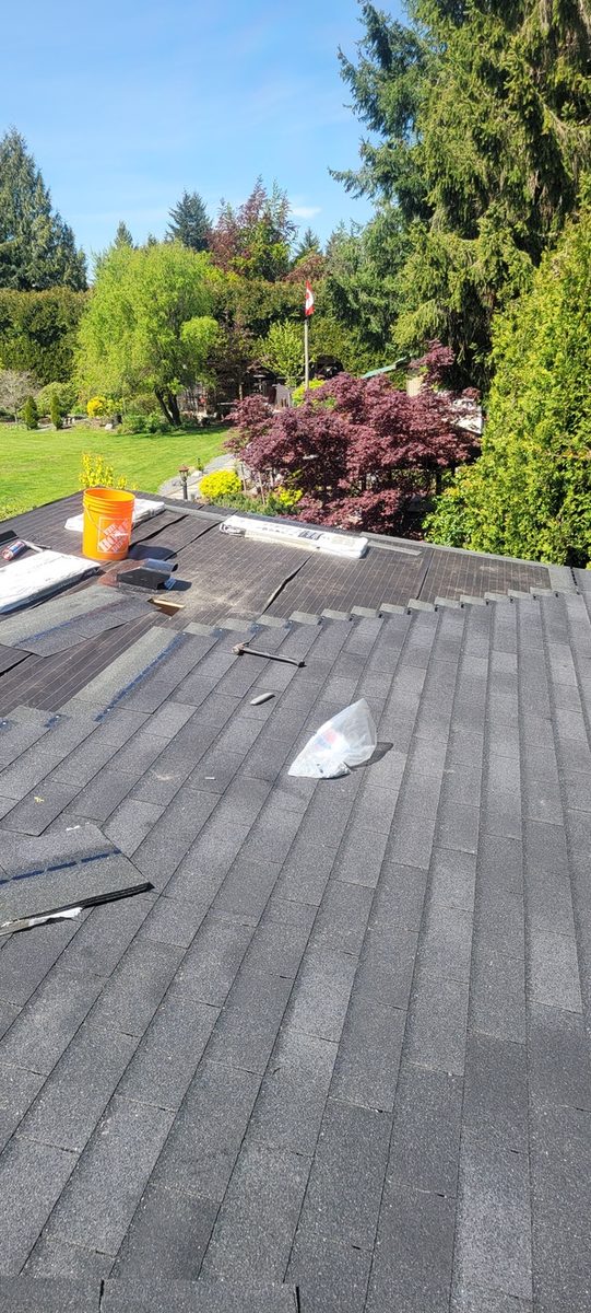 Shingle courses being laid up the roof