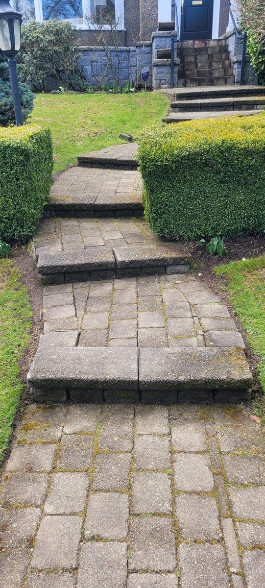 Lower walkway before, with uneven pavers