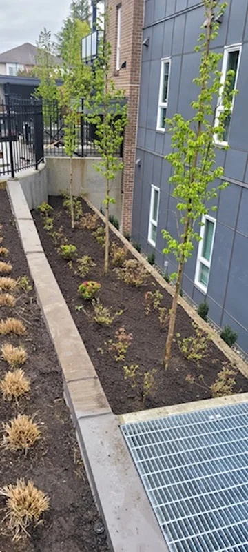 Finished planting bed beside a multi-unit building