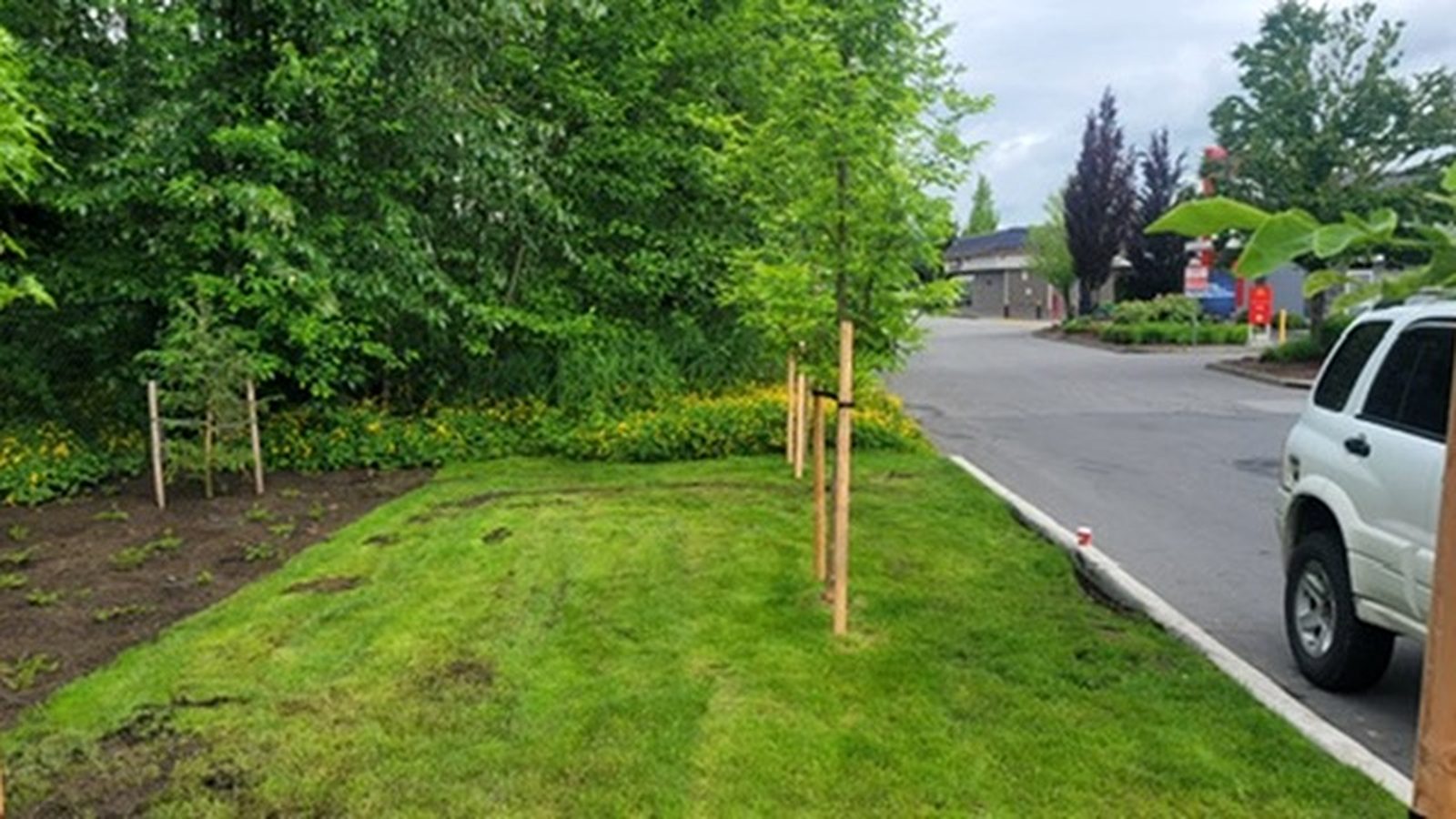Landscape work